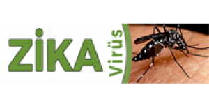 Zika Virüsü